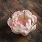 Porcelain Lotus - Spring Series