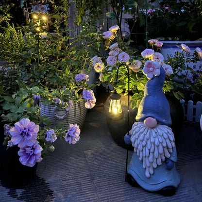 White Beard Gnome Wizard