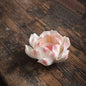 Porcelain Lotus - Spring Series