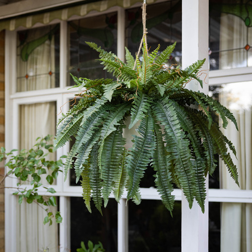 🏆50K+ SOLD⚡Flash Sale🔥🌱UV-Resistant Lifelike Artificial Boston Fern