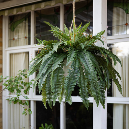 🏆50K+ SOLD⚡Flash Sale🔥🌱UV-Resistant Lifelike Artificial Boston Fern