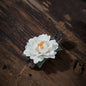 Porcelain Peony - Spring Series