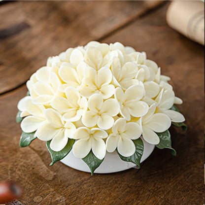 Porcelain Hydrangeas - Spring Series