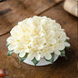 Porcelain Hydrangeas - Spring Series
