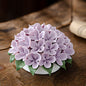 Porcelain Hydrangeas - Spring Series