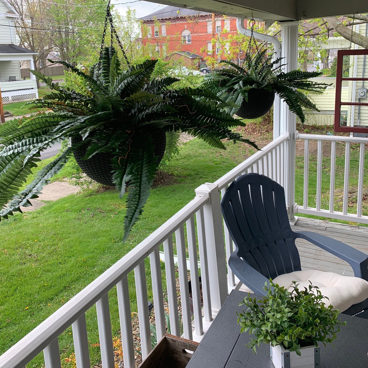 🏆50K+ SOLD⚡Flash Sale🔥🌱UV-Resistant Lifelike Artificial Boston Fern