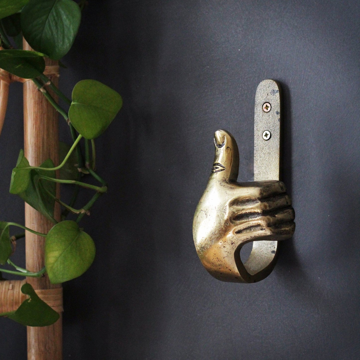 Hand Gesture Metal Hooks