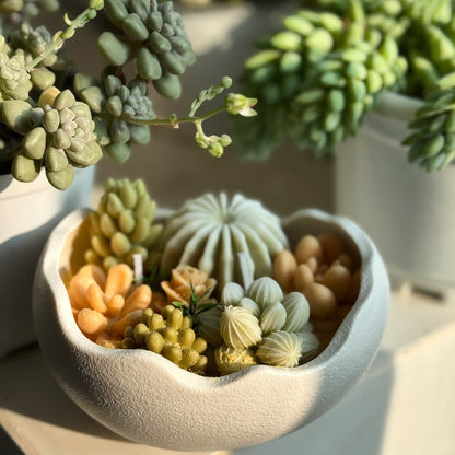 Scented Potted Plants Candle