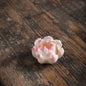 Porcelain Lotus - Spring Series