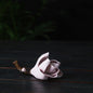 Porcelain Magnolia - Spring Series