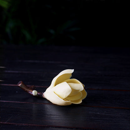 Porcelain Magnolia - Spring Series