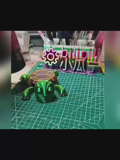 🔥Funny Frightened Turtle Coaster